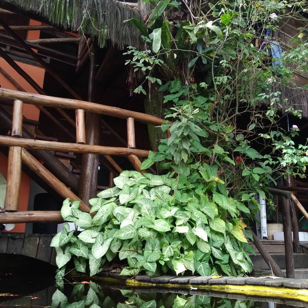Pousada Canto Do Forte Pertinho Da Praia Do Tombo Guaruja Bagian luar foto
